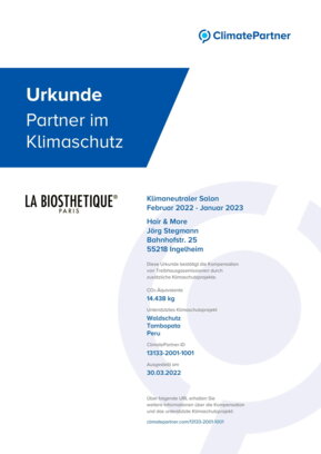 Urkunde von Herrn Stegmann